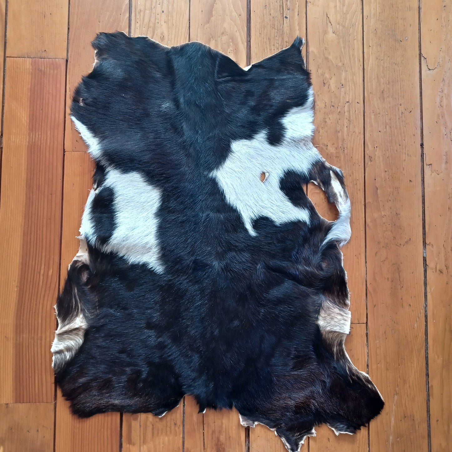 Premium Goat Hide - Black and White