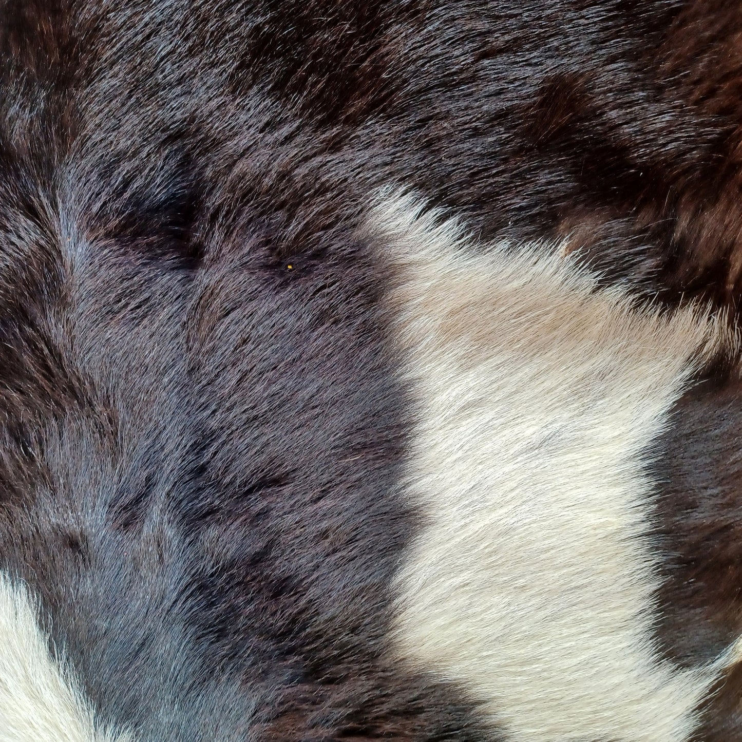 Premium Goat Hide - Black and White
