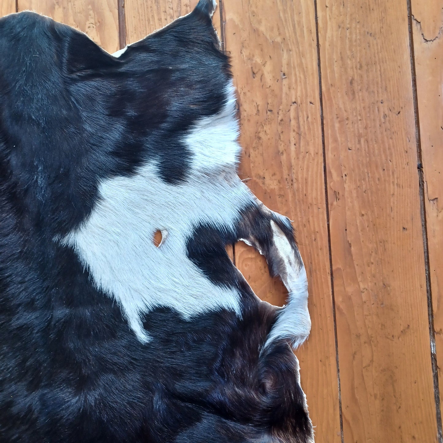 Premium Goat Hide - Black and White