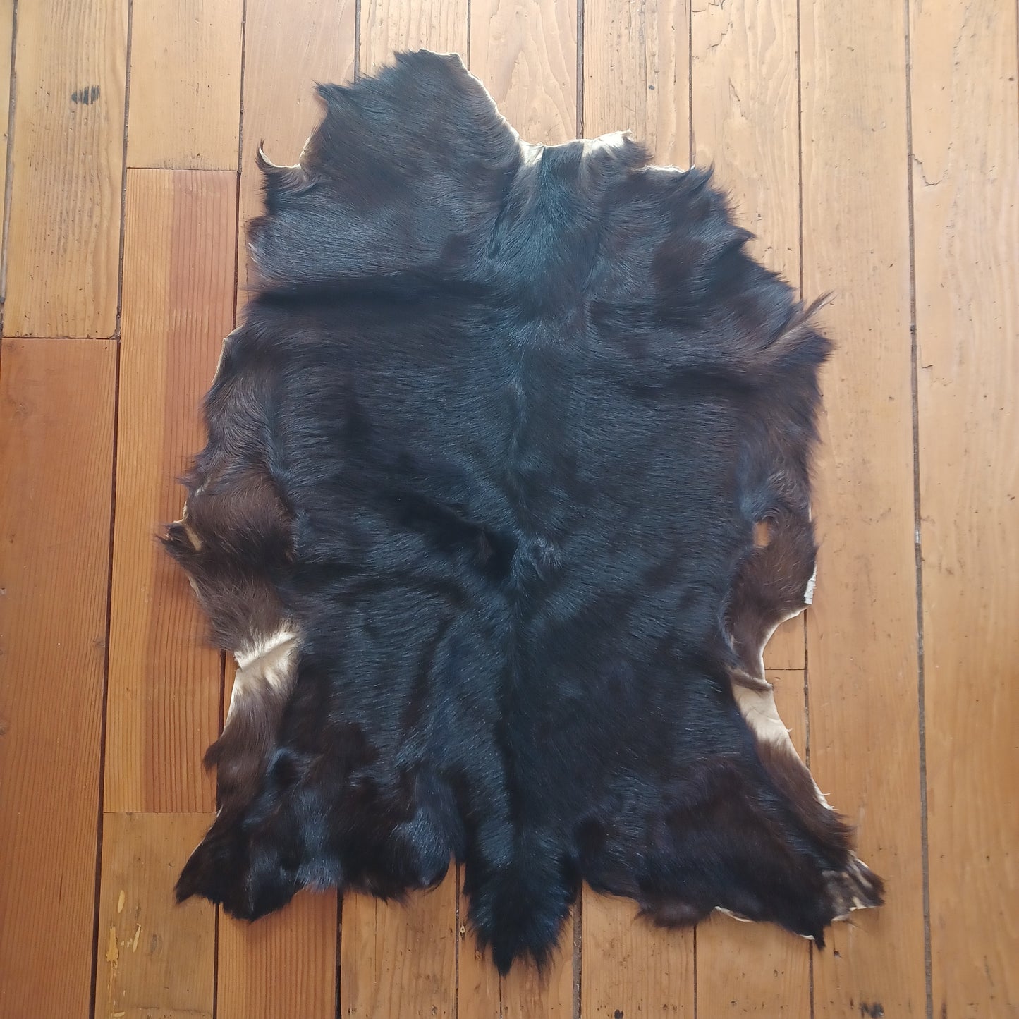 Premium Goat Hide - Large Black