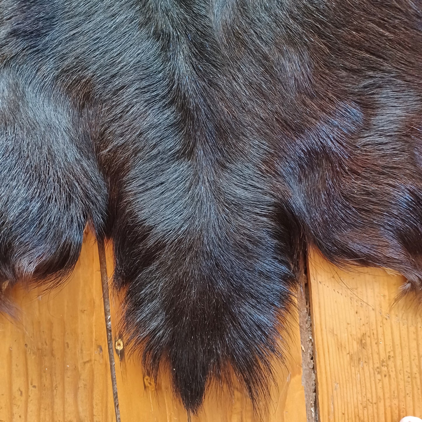 Premium Goat Hide - Large Black