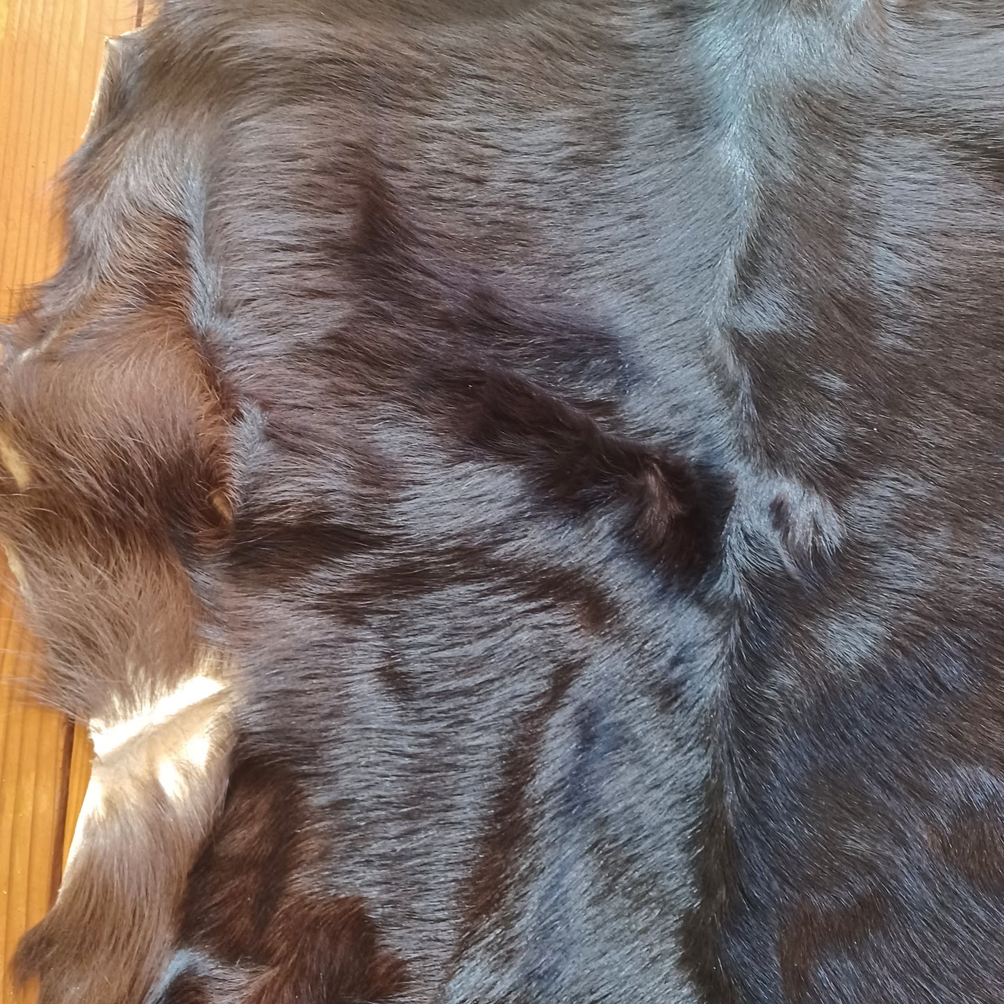 Premium Goat Hide - Large Black