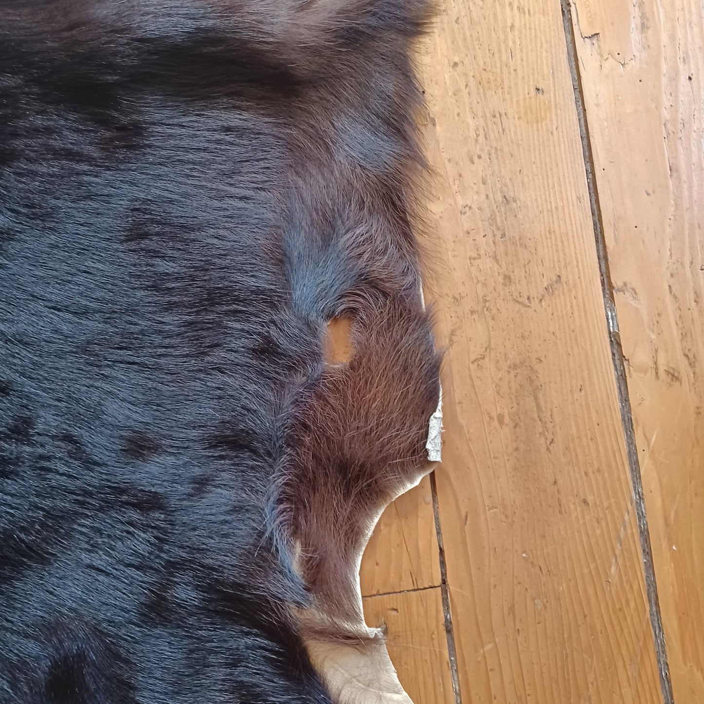 Premium Goat Hide - Large Black