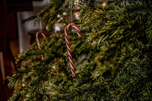 Homemade Candy Canes