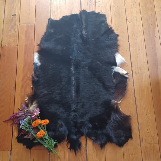 Premium Goat Hide - Black with White Edging